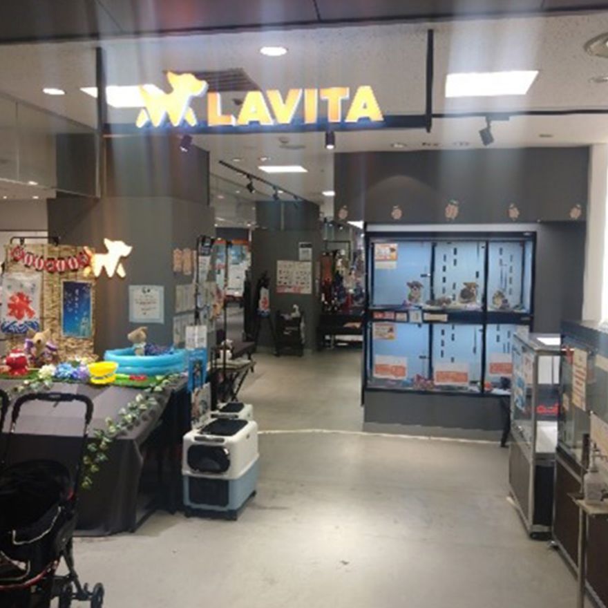 ラビータ池袋本店